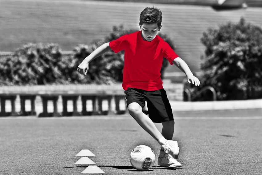 Für unsere Kleinen haben wir auch ein Fussballsortiment